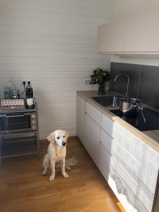 Millies Hosting - Familienurlaub Mit Hund In Karnten Sankt Paul im Lavanttal 外观 照片
